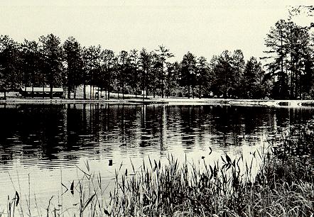 Pinebluff Lake